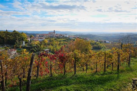 Brda, de wijnstreek van Slovenië